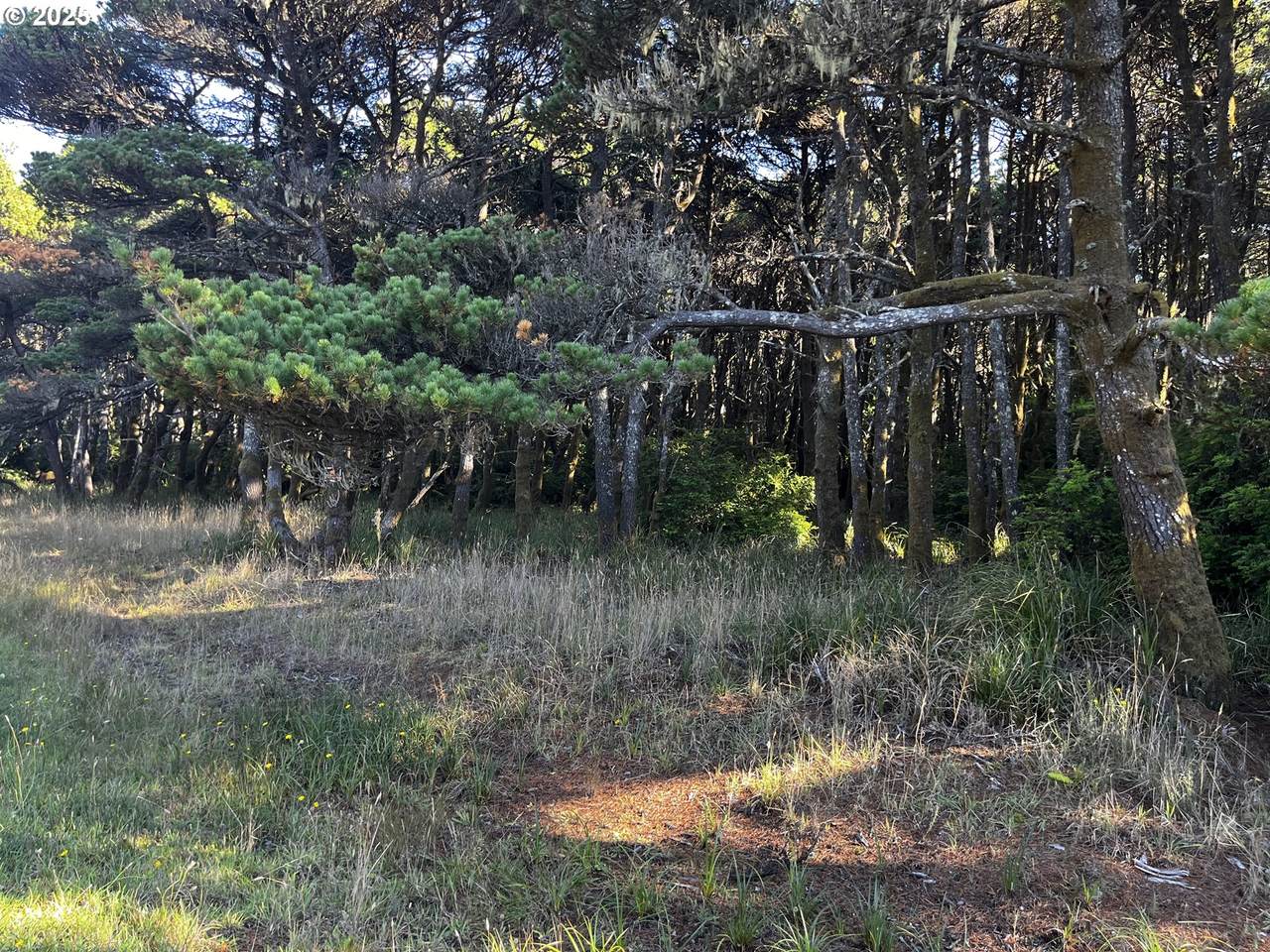 https://bt-photos.global.ssl.fastly.net/portland/1280_boomver_1_581481800-2.jpg