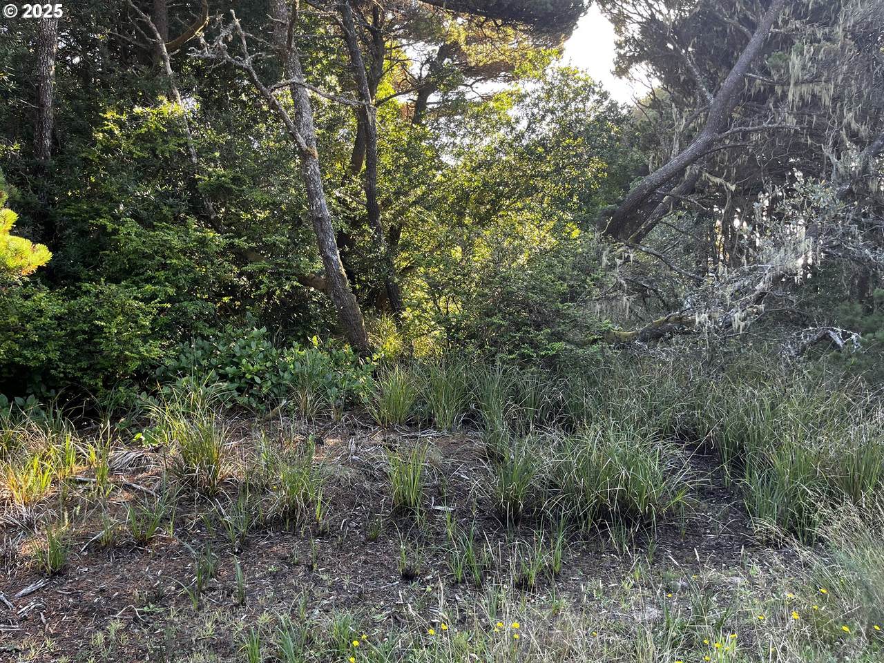 https://bt-photos.global.ssl.fastly.net/portland/1280_boomver_1_581481800-2.jpg