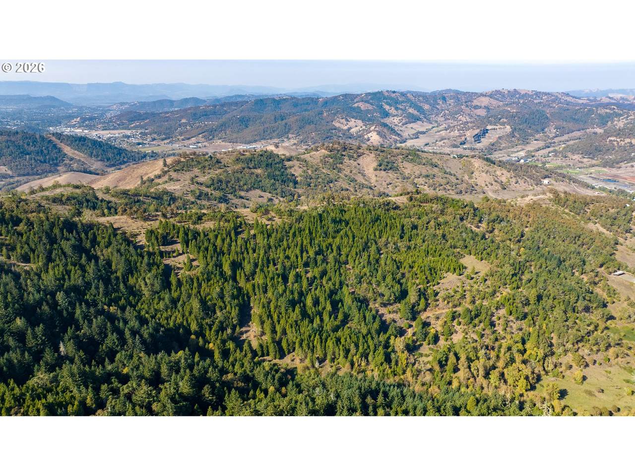  Buckhorn Rd - Photo 1