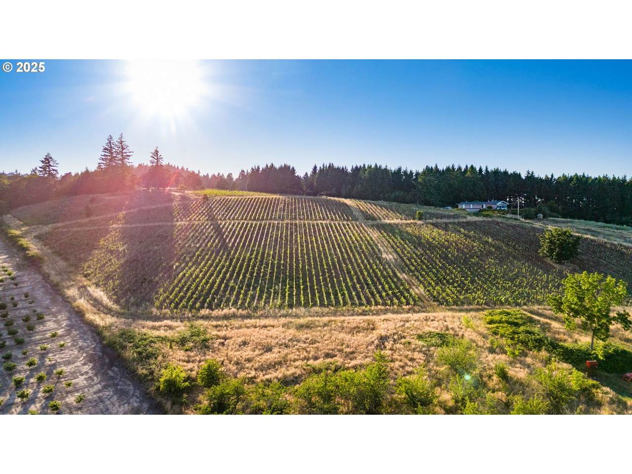 8665 Hopewell Rd - Photo 1