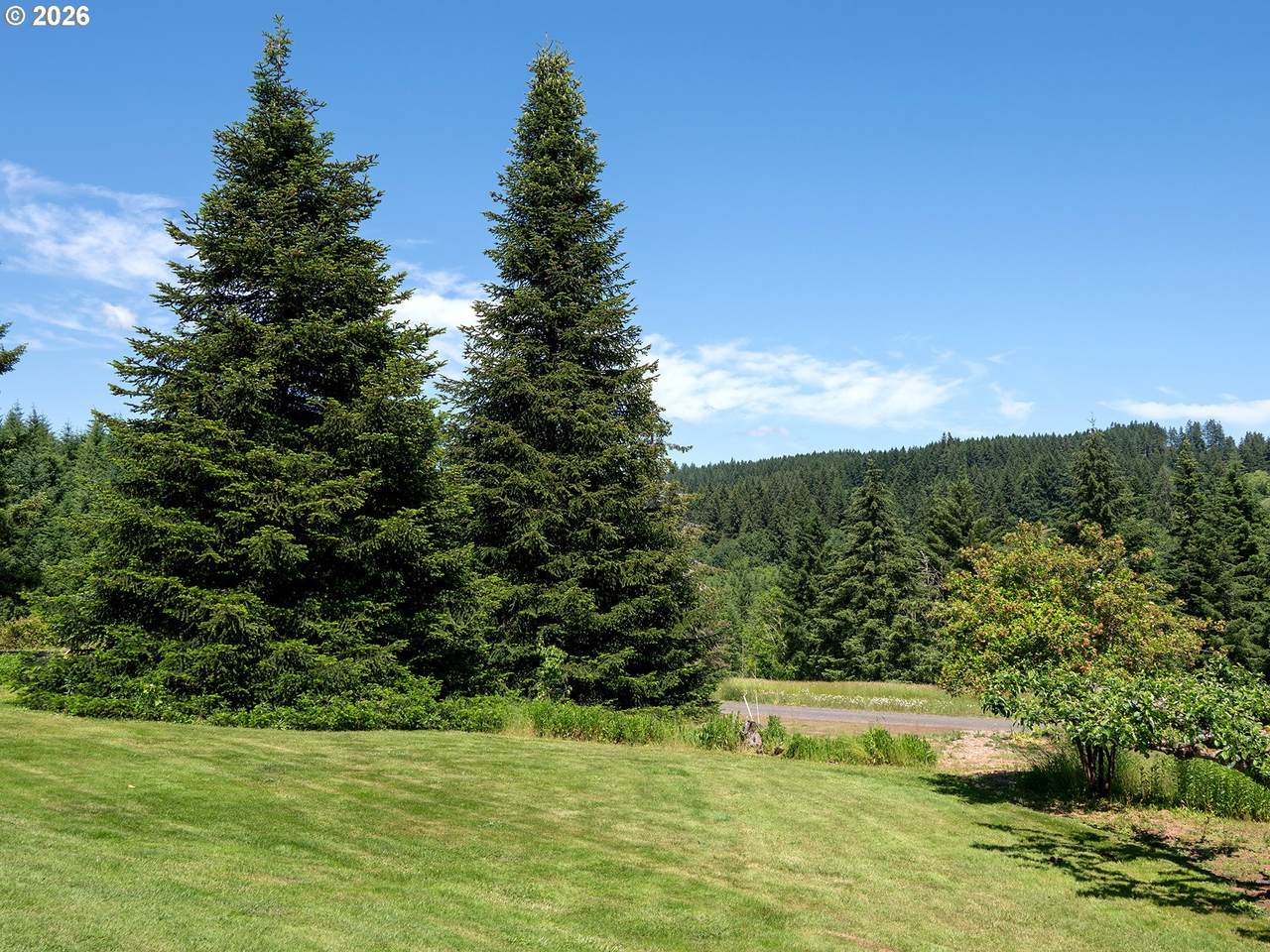 https://bt-photos.global.ssl.fastly.net/portland/1280_boomver_1_584056660-2.jpg