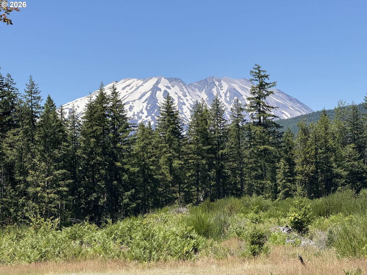 0 Lahar Ln - Photo 1