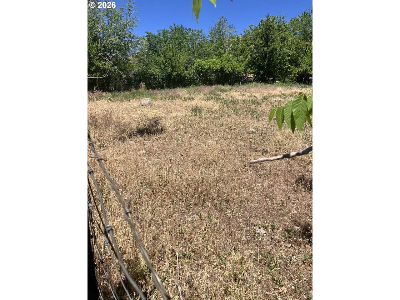 43135 Summit Creek Rd - Photo 1