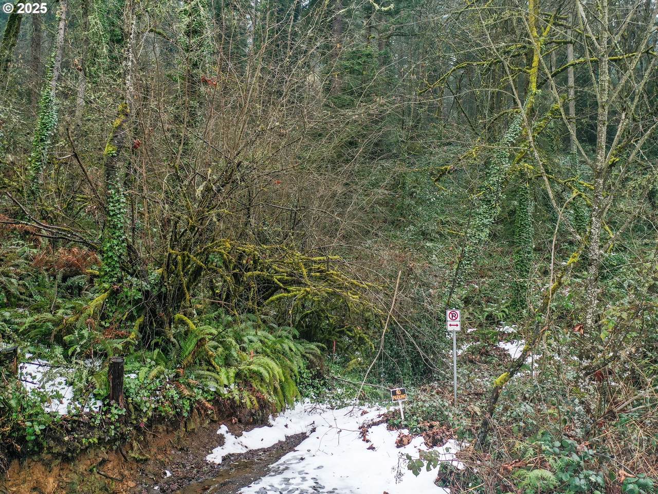 https://bt-photos.global.ssl.fastly.net/portland/1280_boomver_1_587219525-2.jpg