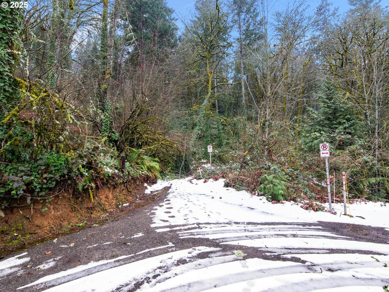 https://bt-photos.global.ssl.fastly.net/portland/1280_boomver_1_587219525-2.jpg