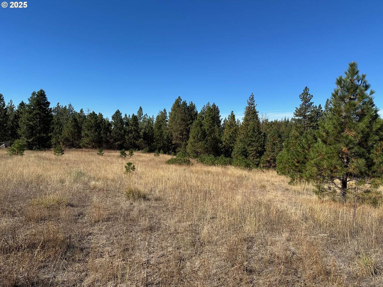 1 Garrison Rd - Photo 1
