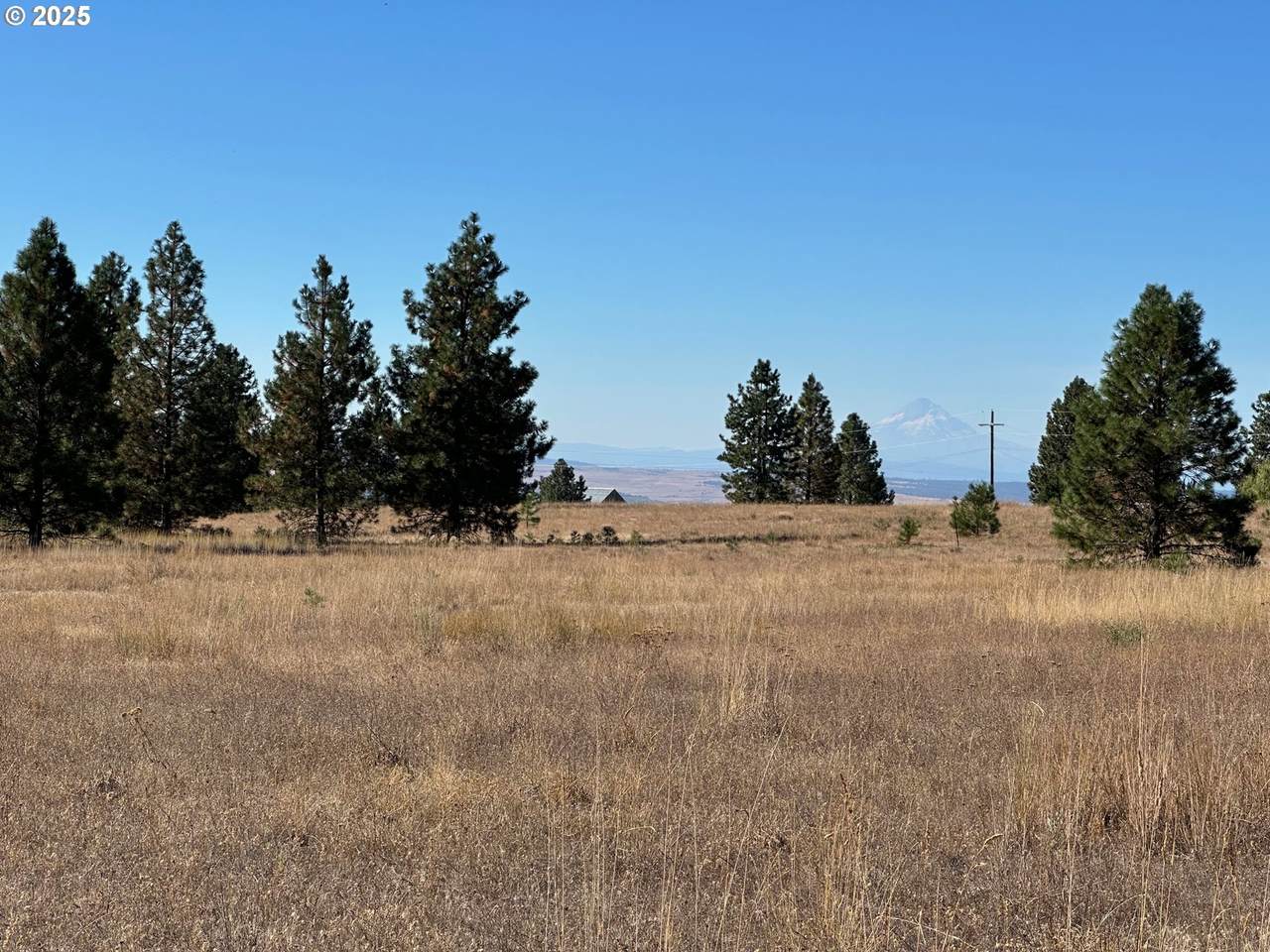 https://bt-photos.global.ssl.fastly.net/portland/1280_boomver_1_589152472-2.jpg
