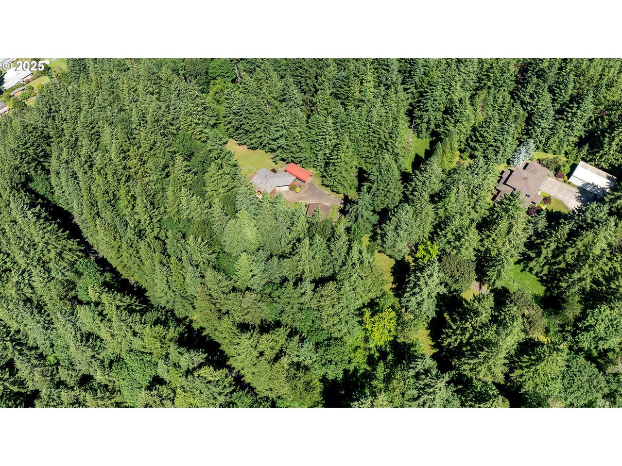 19609 Wooded Hills Dr - Photo 1