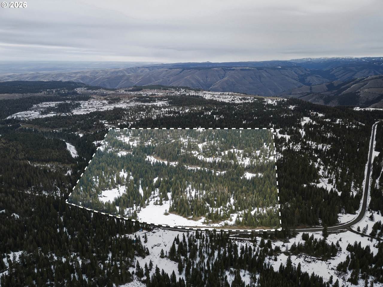  Highway 204 - Photo 1