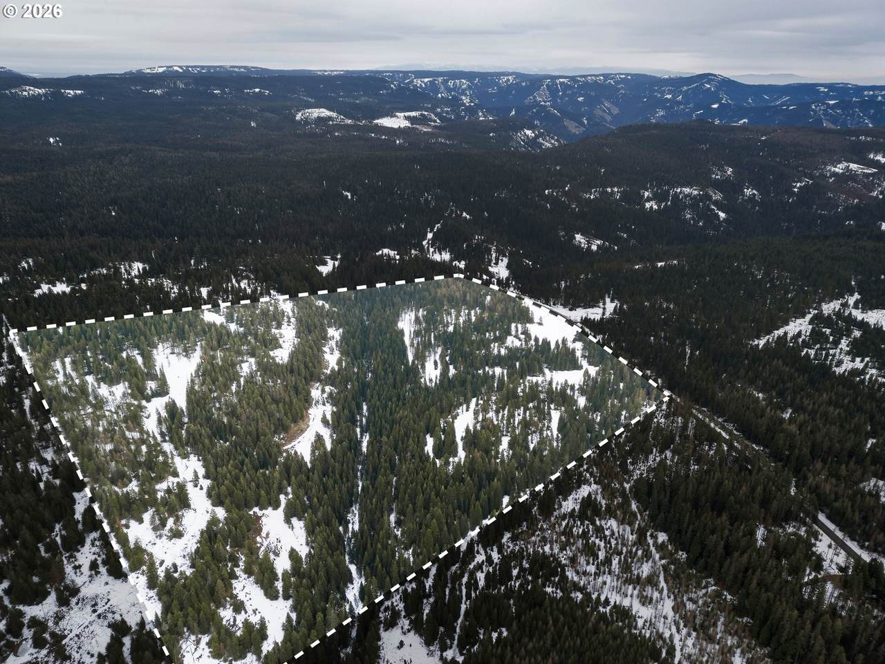 https://bt-photos.global.ssl.fastly.net/portland/1280_boomver_1_590297959-2.jpg