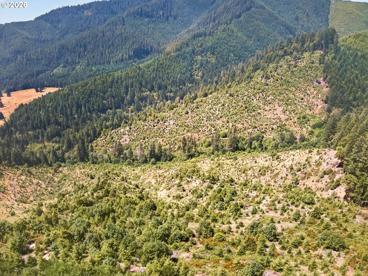 https://bt-photos.global.ssl.fastly.net/portland/1280_boomver_1_593324495-2.jpg