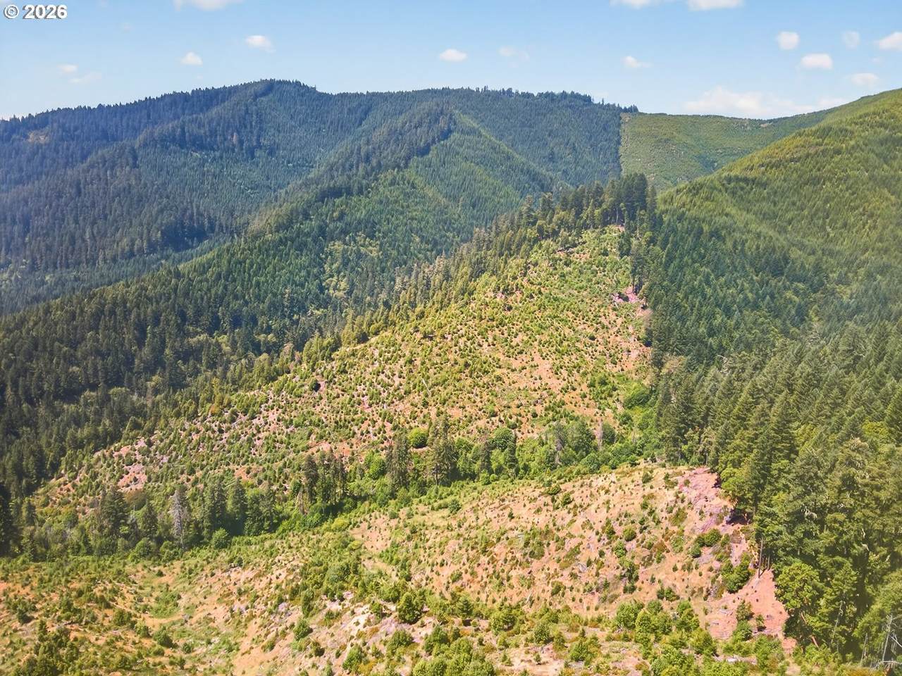 https://bt-photos.global.ssl.fastly.net/portland/1280_boomver_1_593324495-2.jpg
