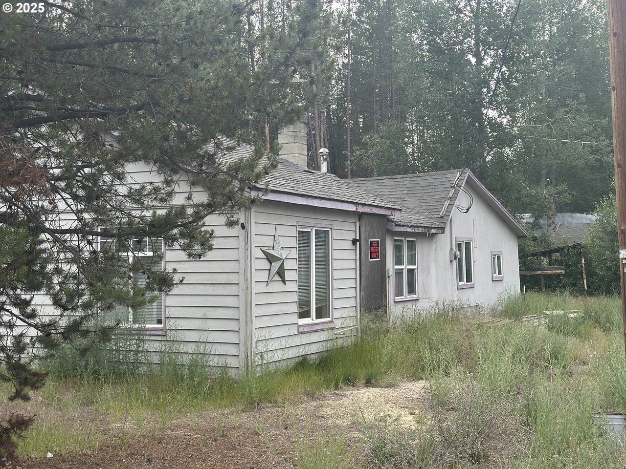 135962 Hwy 97 - Photo 1