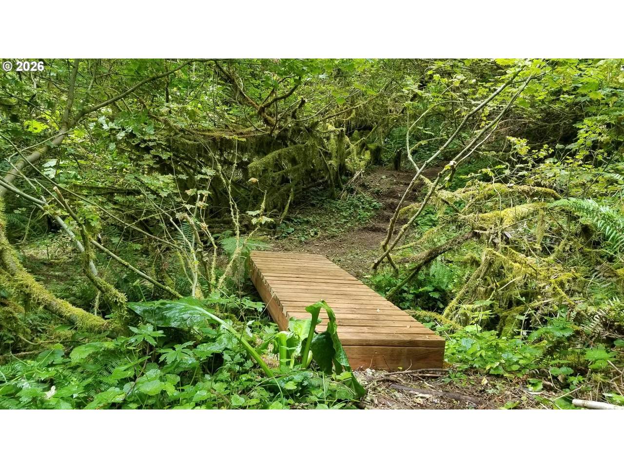 https://bt-photos.global.ssl.fastly.net/portland/1280_boomver_1_596347943-2.jpg