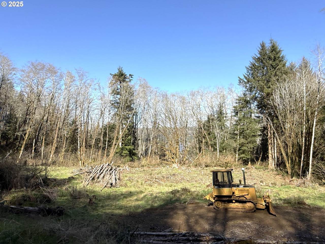  Fiddle Back Lot 6 - Photo 1