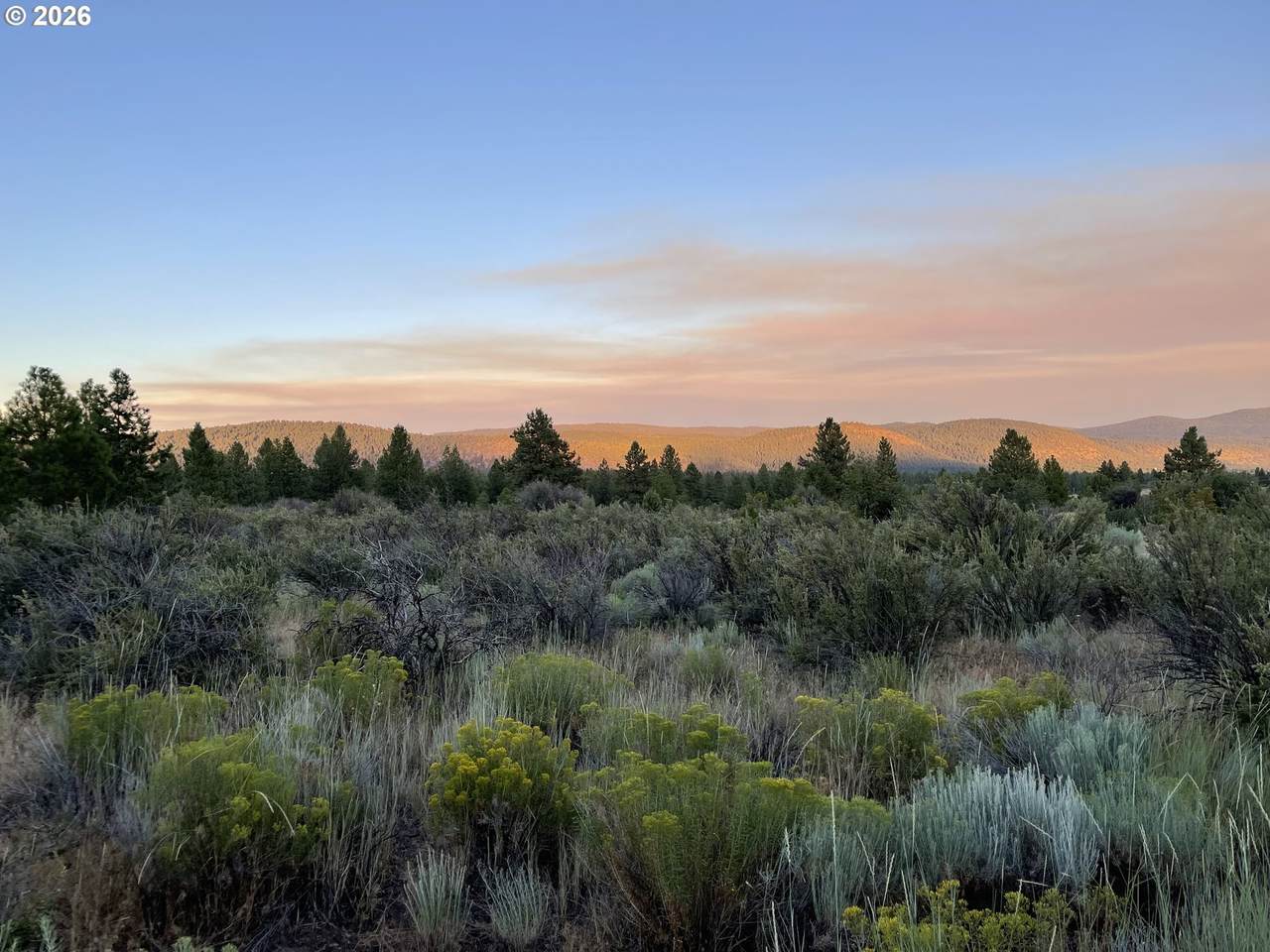 https://bt-photos.global.ssl.fastly.net/portland/1280_boomver_1_597241483-2.jpg