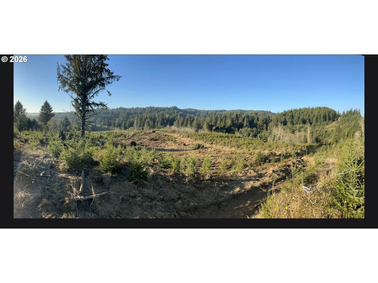 https://bt-photos.global.ssl.fastly.net/portland/1280_boomver_1_598327530-2.jpg