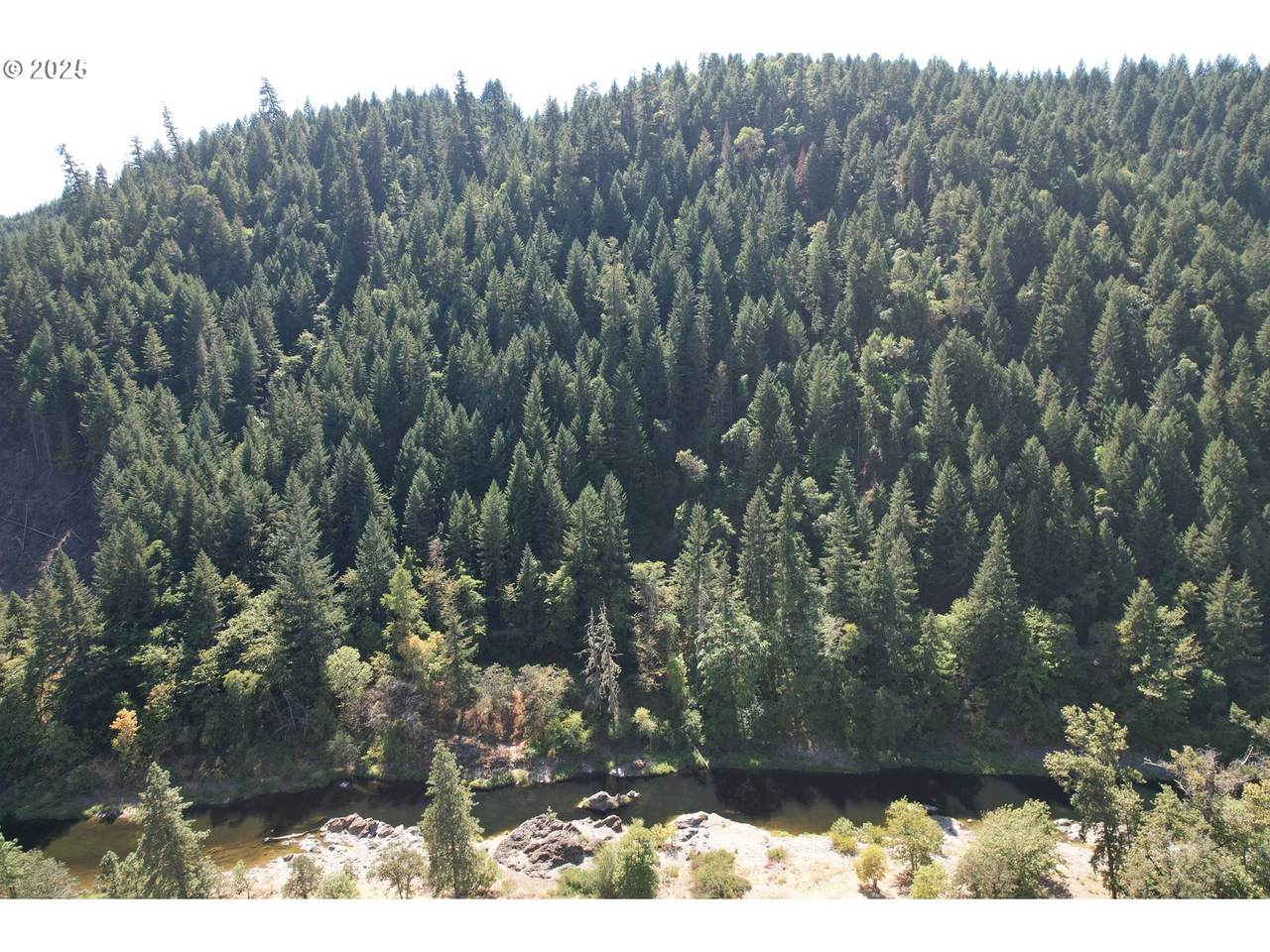 750 Ferguson Ln - Photo 1