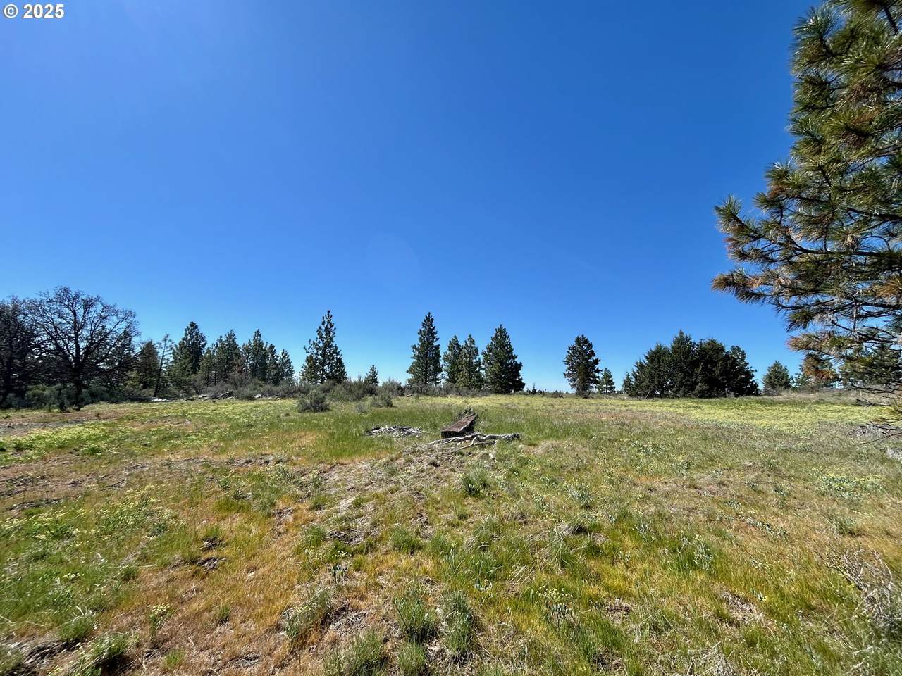  2 Lots On Pine St - Photo 1