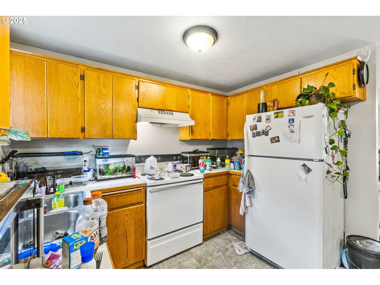 https://bt-photos.global.ssl.fastly.net/portland/1280_boomver_1_604165042-2.jpg