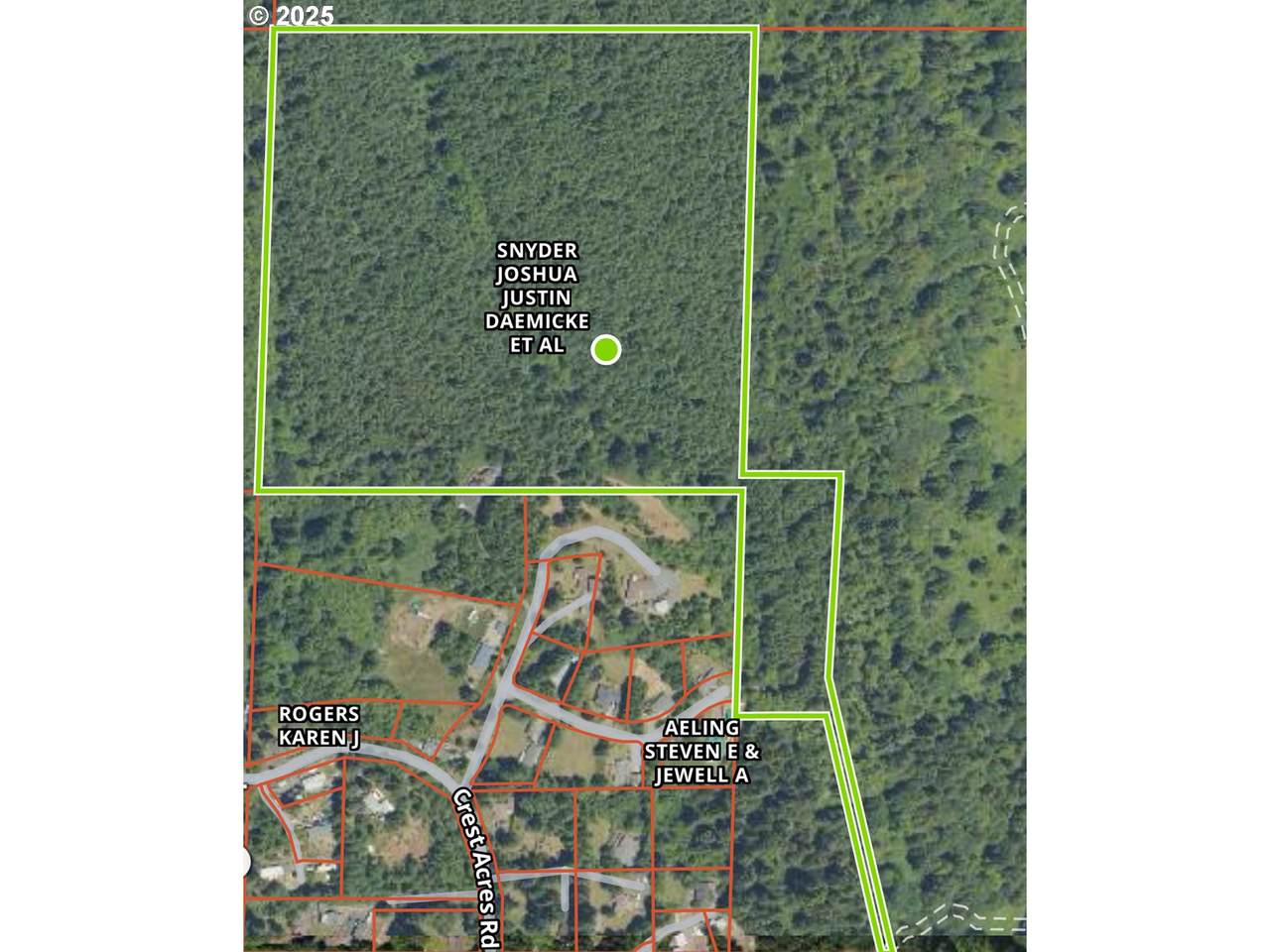  00 Elderberry - Photo 1