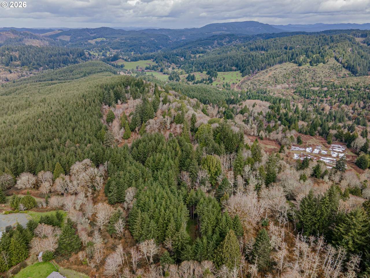 https://bt-photos.global.ssl.fastly.net/portland/1280_boomver_1_606087809-2.jpg