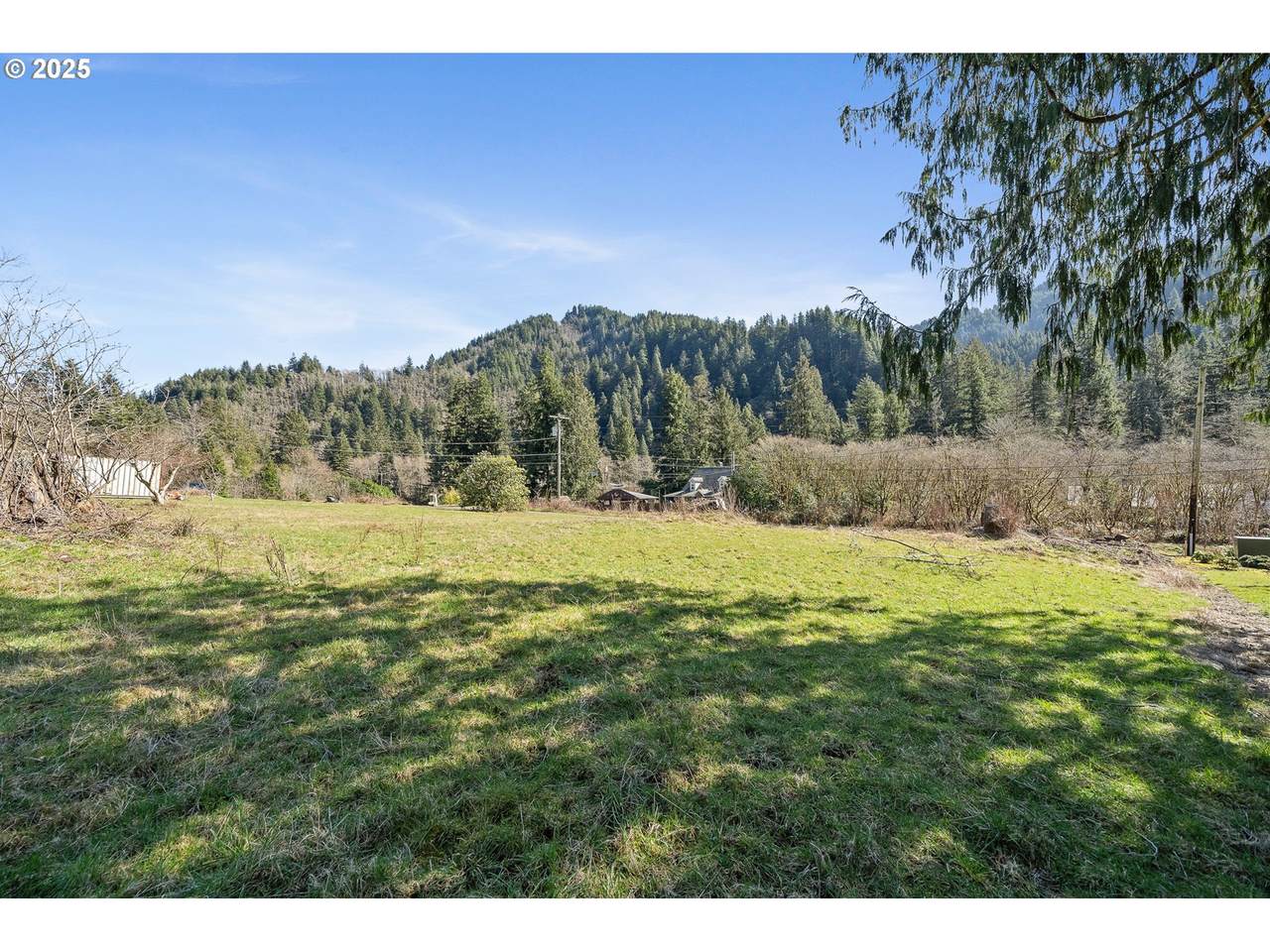 00201 Wilson River Hwy - Photo 1