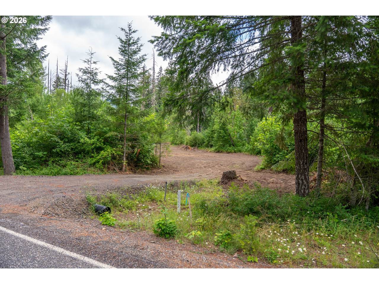 10392 Wind River Hwy - Photo 1