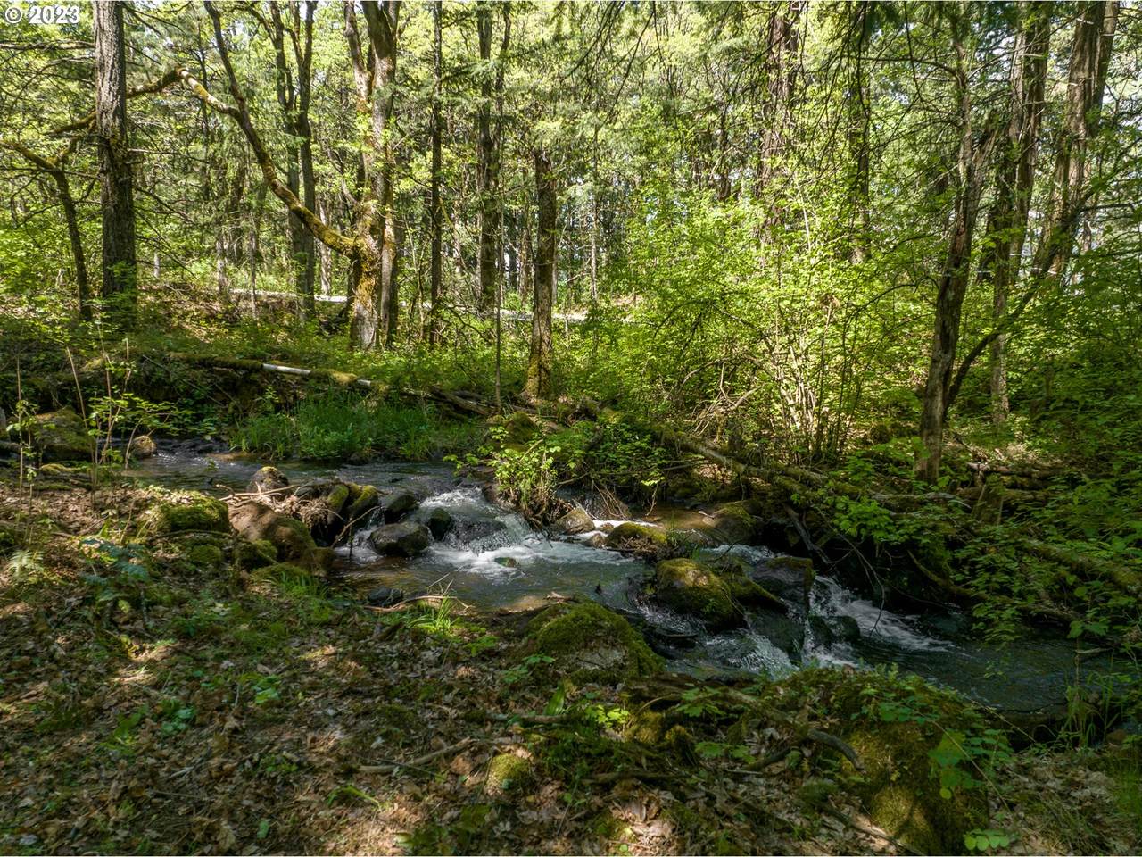 455 Country Club Rd - Photo 1