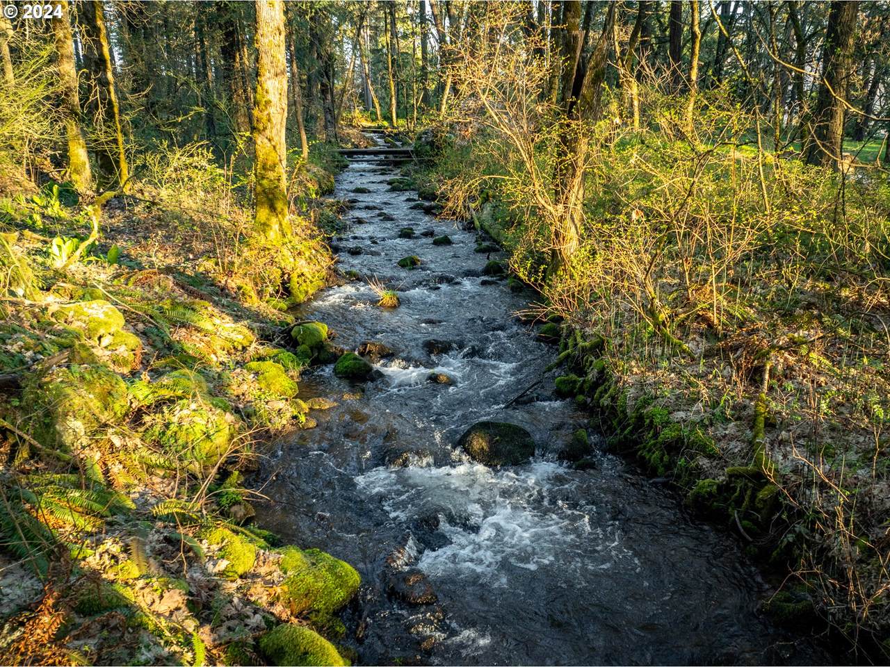 https://bt-photos.global.ssl.fastly.net/portland/1280_boomver_1_609994841-2.jpg