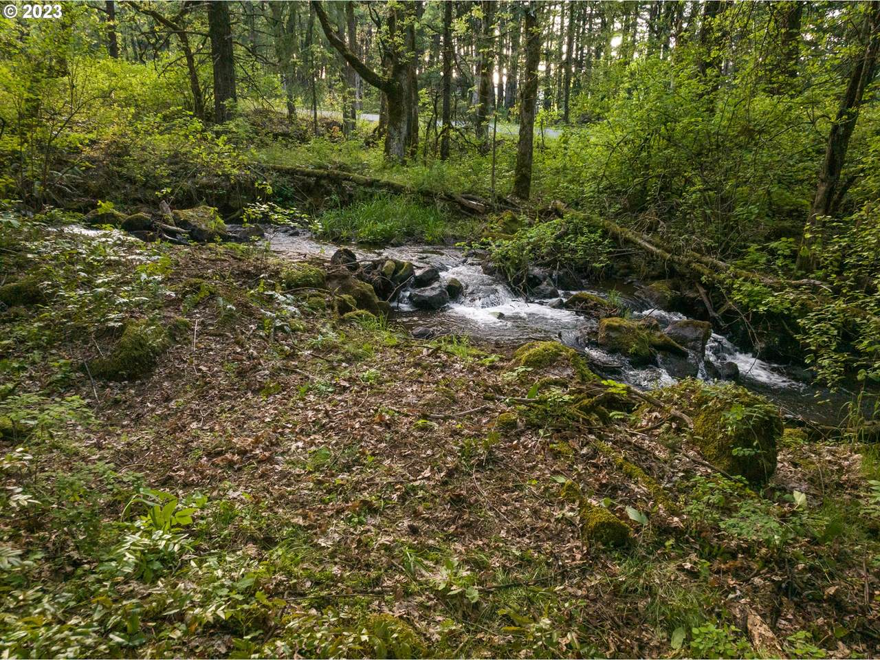 https://bt-photos.global.ssl.fastly.net/portland/1280_boomver_1_609994841-2.jpg