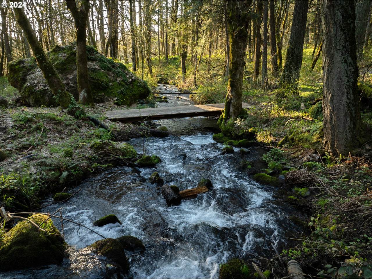 https://bt-photos.global.ssl.fastly.net/portland/1280_boomver_1_609994841-2.jpg