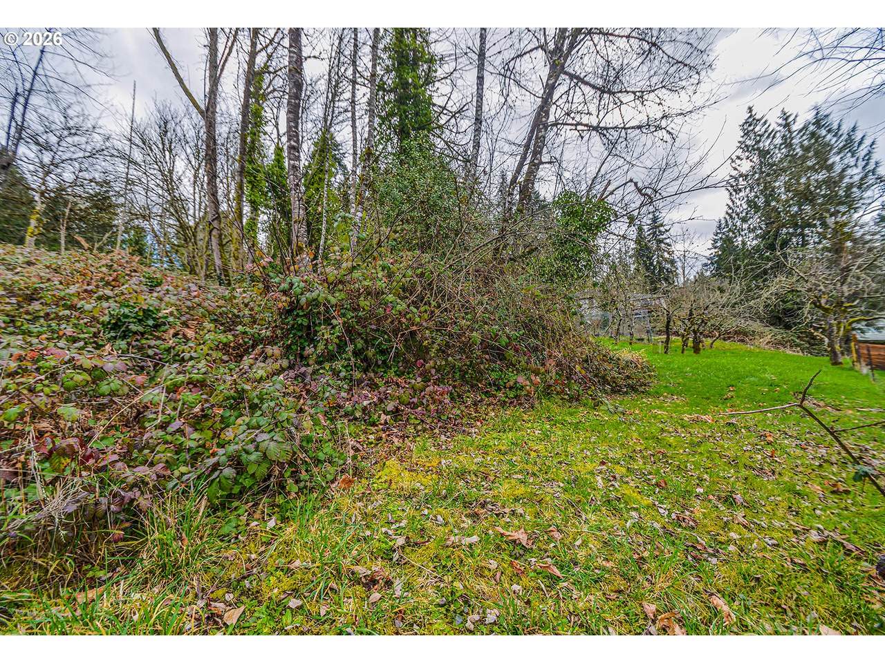 0 1st Street - Photo 1
