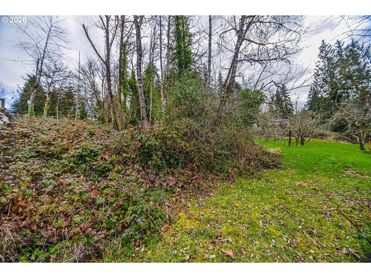 https://bt-photos.global.ssl.fastly.net/portland/1280_boomver_1_614105649-2.jpg