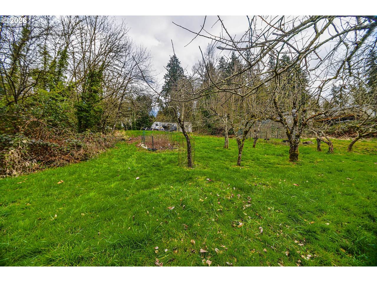 https://bt-photos.global.ssl.fastly.net/portland/1280_boomver_1_614105649-2.jpg