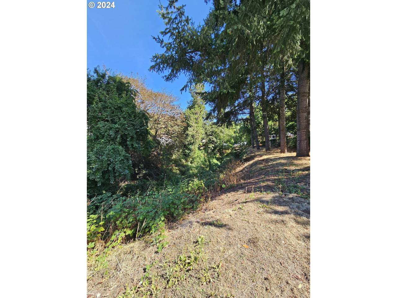 1843 Main St - Photo 1