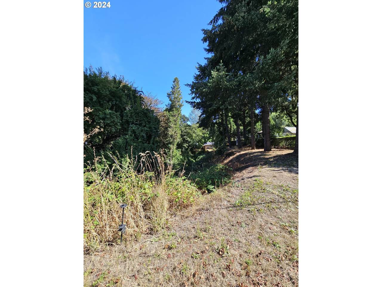 https://bt-photos.global.ssl.fastly.net/portland/1280_boomver_1_614559164-2.jpg