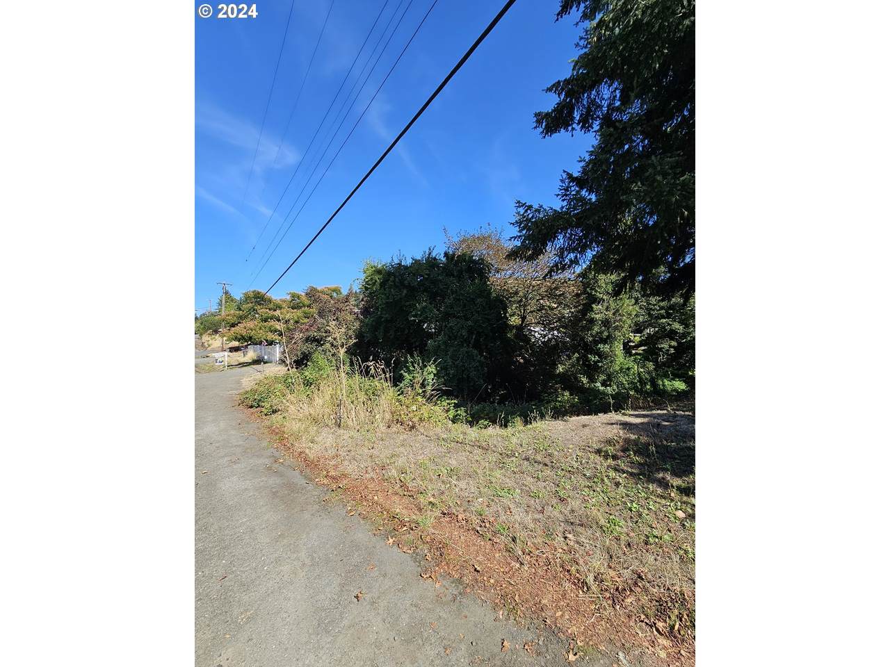 https://bt-photos.global.ssl.fastly.net/portland/1280_boomver_1_614559164-2.jpg