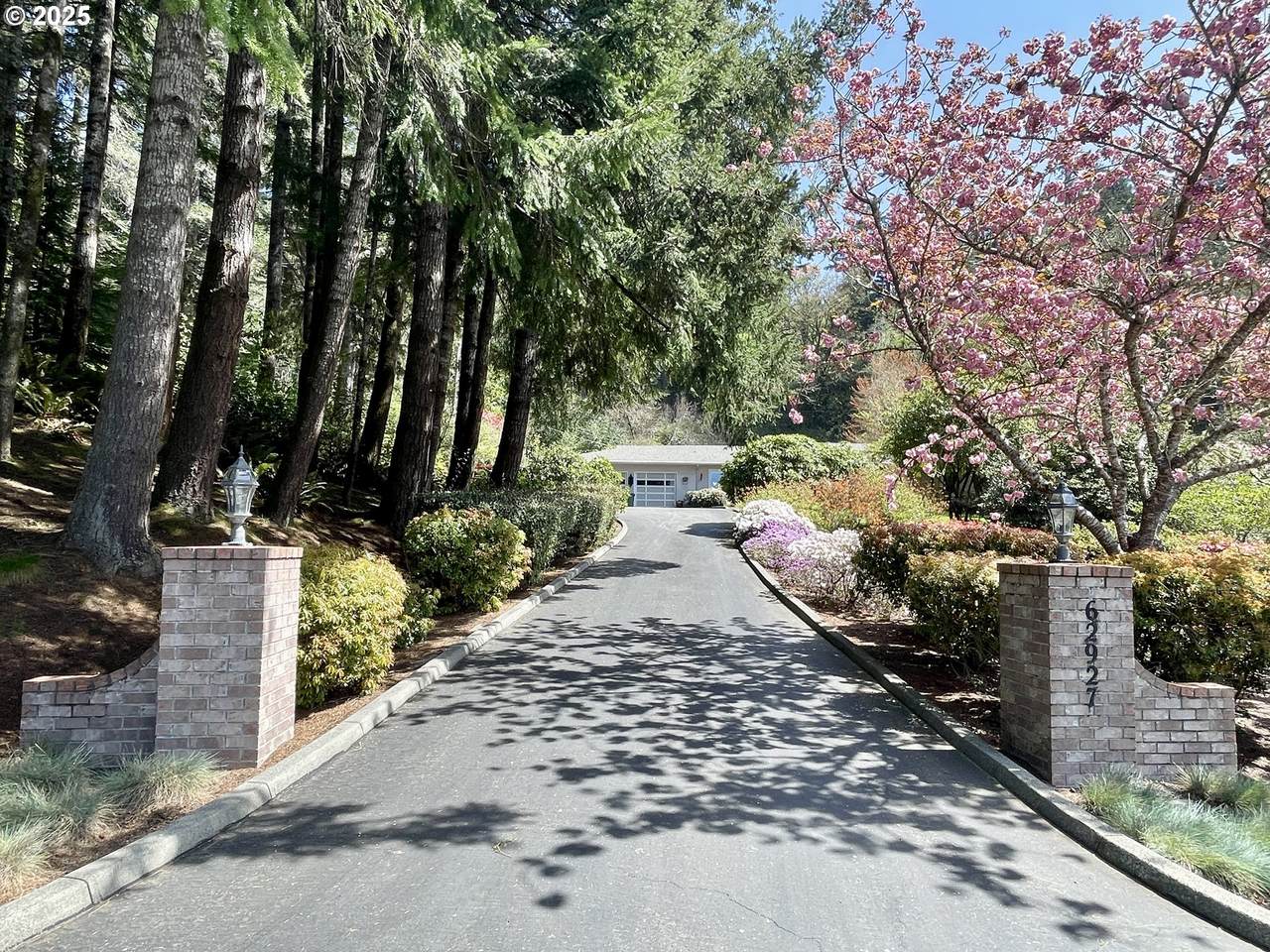 62927 Olive Barber Rd - Photo 1