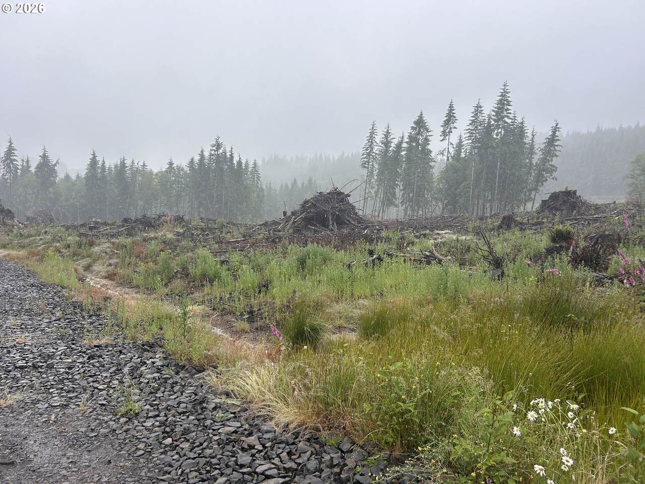 https://bt-photos.global.ssl.fastly.net/portland/1280_boomver_1_619784431-2.jpg