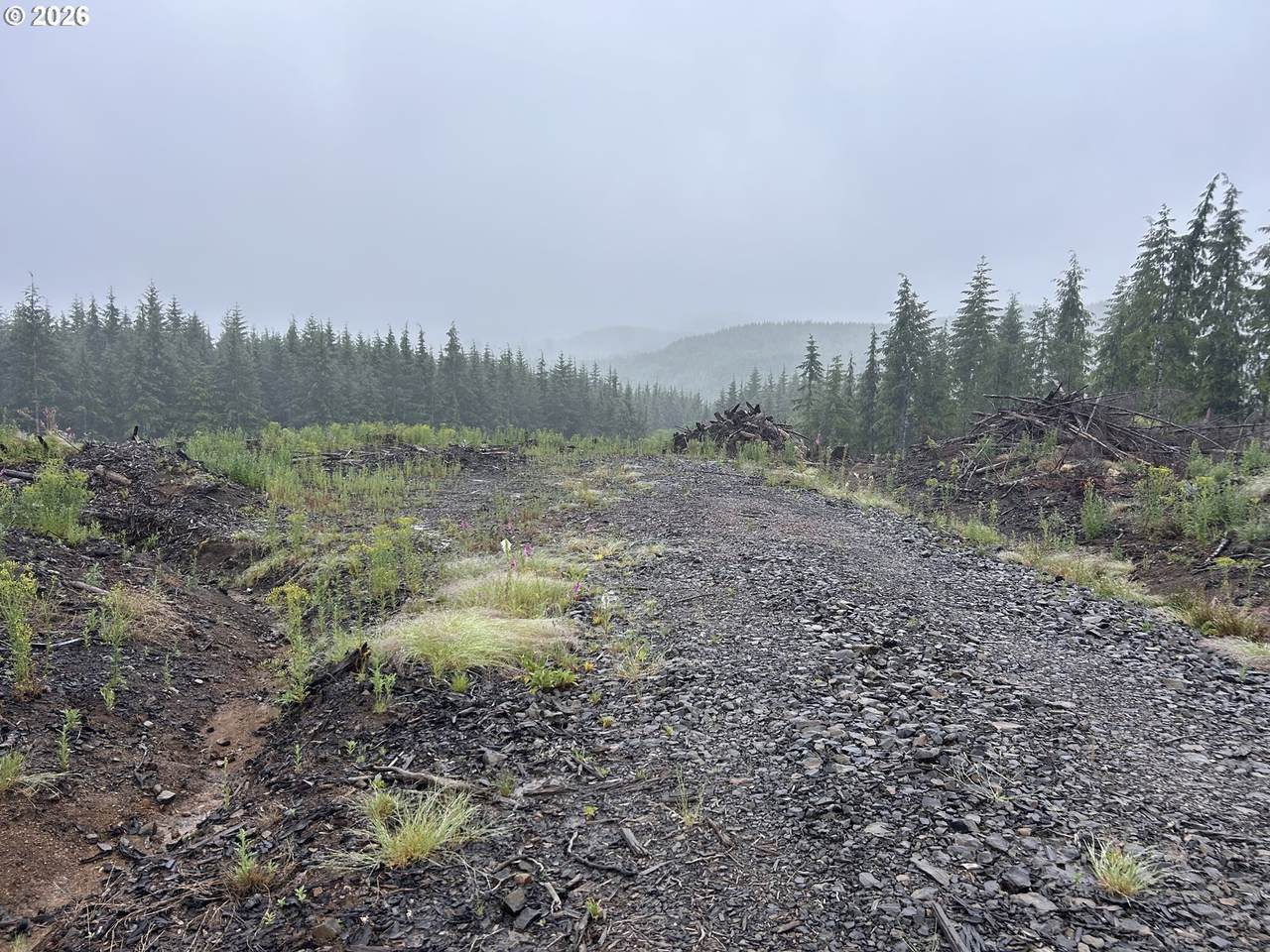 https://bt-photos.global.ssl.fastly.net/portland/1280_boomver_1_619784431-2.jpg