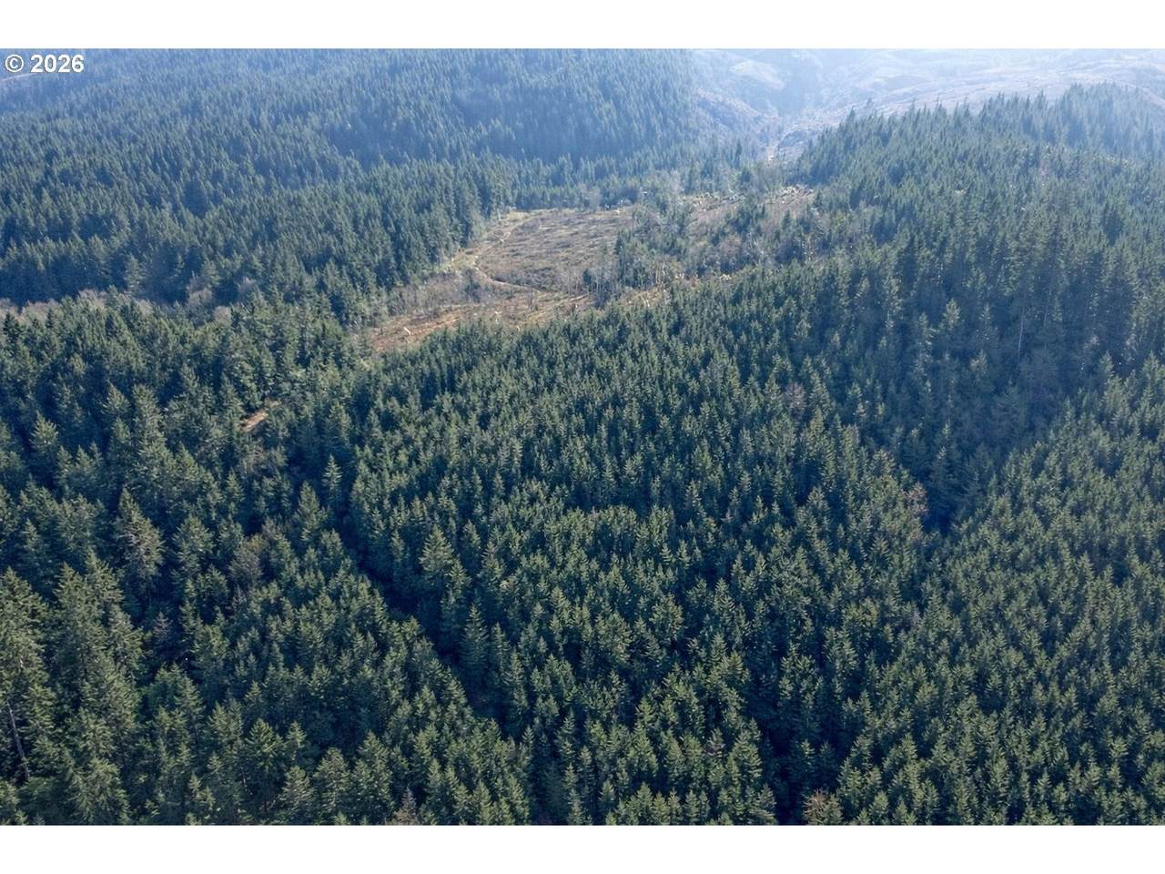  Erickson Rd - Photo 1