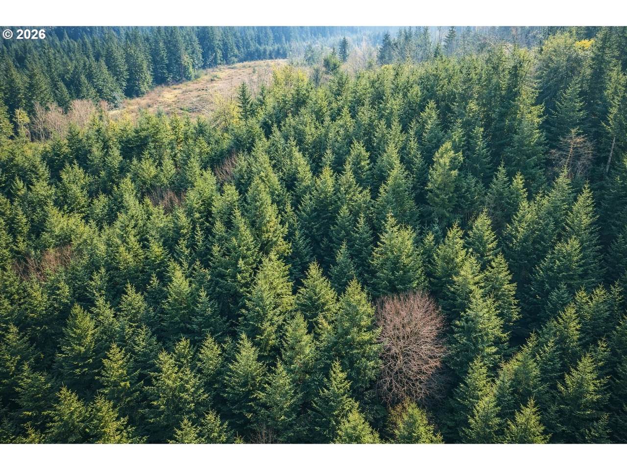 https://bt-photos.global.ssl.fastly.net/portland/1280_boomver_1_622459417-2.jpg