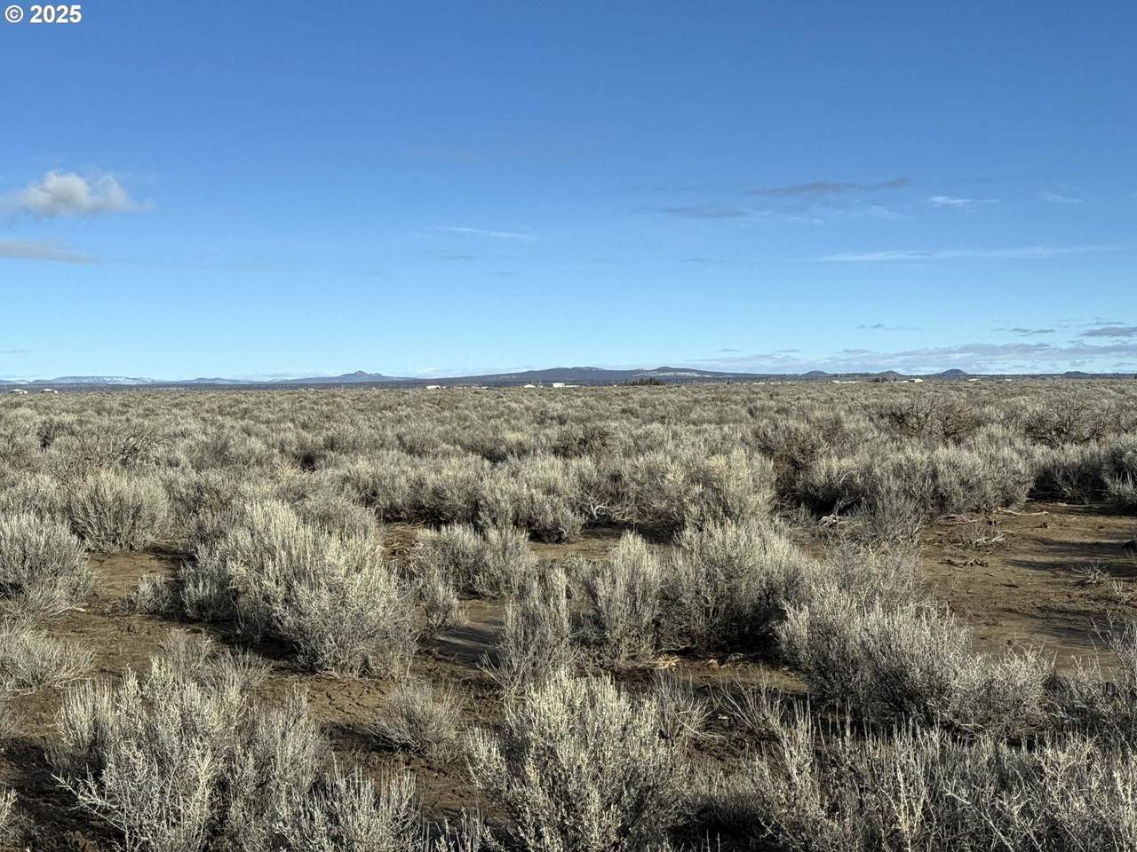  Rocking Horse Ln - Photo 1