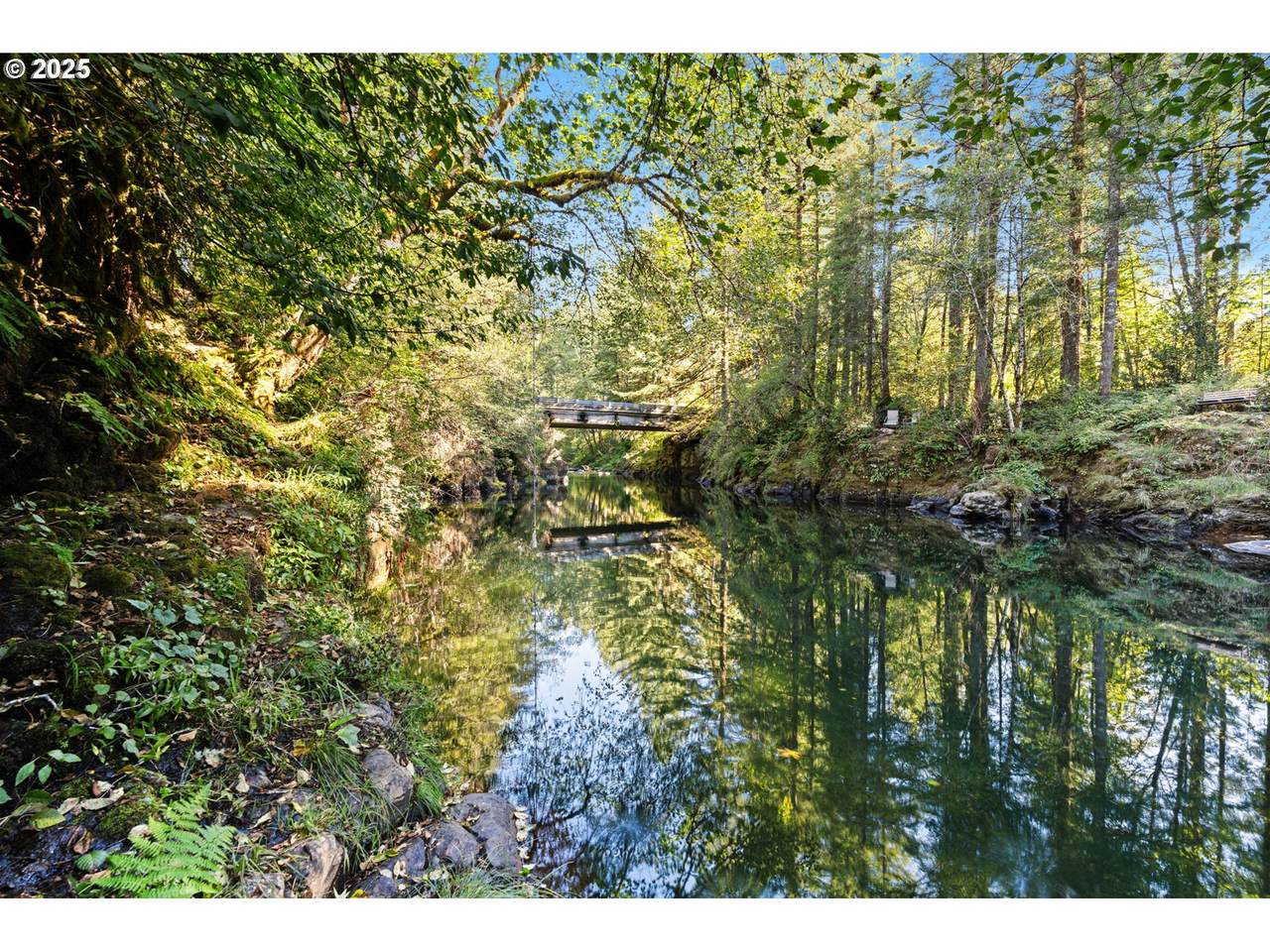 30815 Sunset Falls Rd - Photo 1