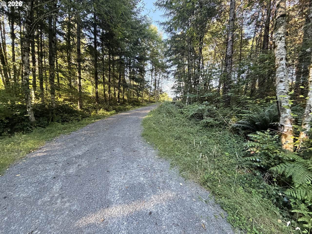 217 Ham Rd - Photo 1