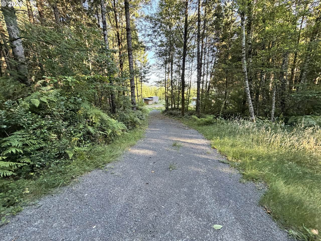https://bt-photos.global.ssl.fastly.net/portland/1280_boomver_1_624569467-2.jpg