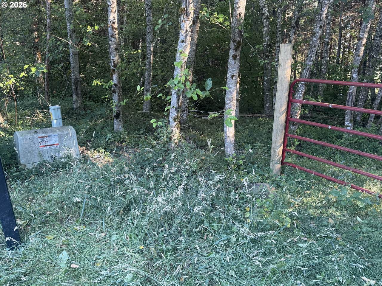 https://bt-photos.global.ssl.fastly.net/portland/1280_boomver_1_624569467-2.jpg