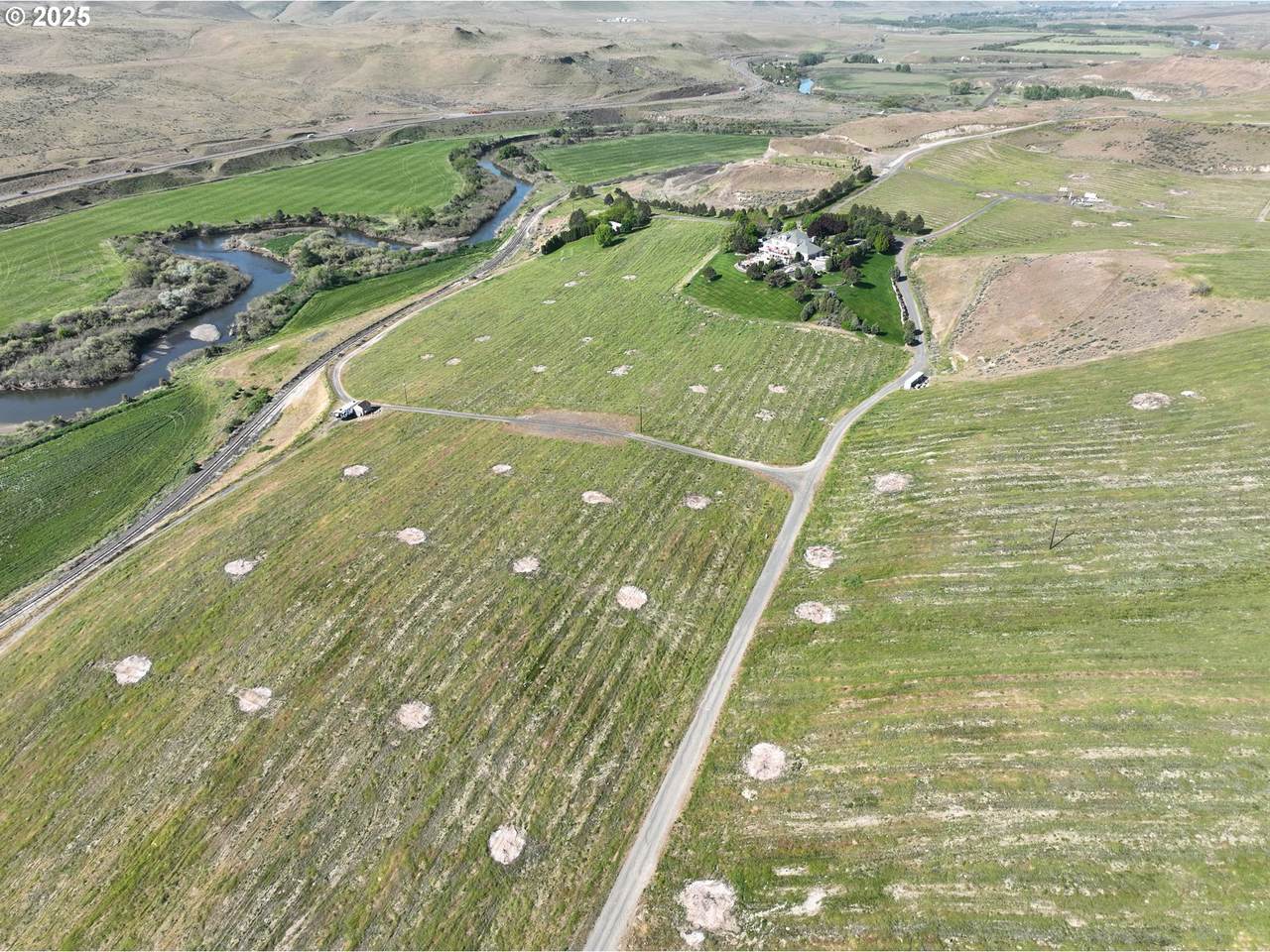 1439 Oasis Rd - Photo 1