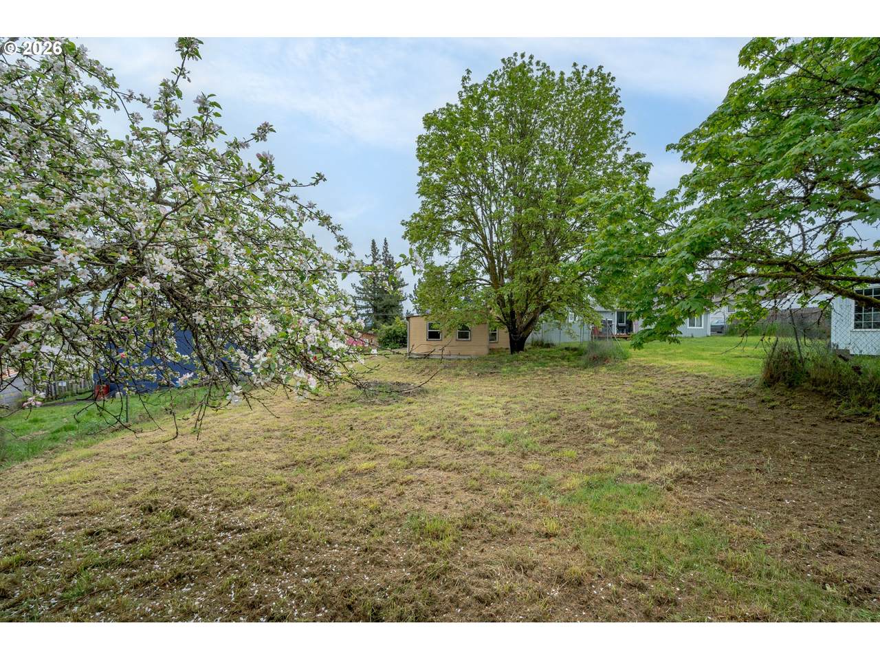 220 Ivy St - Photo 1